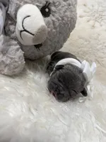 processed/47a5e0bb-6b95-4647-a050-2be6124281a9/listing/481eced9-d903-4ef1-8d8d-841796ce05cb/2967d835-40ed-4ce5-b036-ac8146b8011c