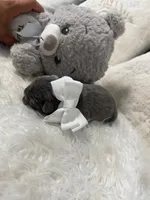 processed/47a5e0bb-6b95-4647-a050-2be6124281a9/listing/481eced9-d903-4ef1-8d8d-841796ce05cb/3aa81750-d8f7-402f-83a9-373ded290a91