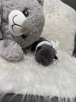 processed/47a5e0bb-6b95-4647-a050-2be6124281a9/listing/481eced9-d903-4ef1-8d8d-841796ce05cb/5d017806-b70d-44f4-9b4e-e7e56b2c1dd1