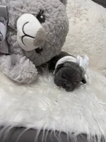 processed/47a5e0bb-6b95-4647-a050-2be6124281a9/listing/481eced9-d903-4ef1-8d8d-841796ce05cb/6f7948e0-39de-4d27-ab36-05448cbd6055