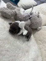 processed/47a5e0bb-6b95-4647-a050-2be6124281a9/listing/481eced9-d903-4ef1-8d8d-841796ce05cb/ac7ea4b7-7459-4cf5-98aa-e3bb61789b16