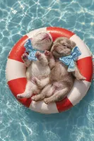 Polar bear (platinum fluffy big rope New shade Isabella ) , a male French Bulldog for sale in Miami, FL – Photo 5 of 10
