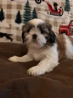 processed/47ae5528-42e7-4543-9def-0827168b32e6/listing/ceada5dc-80a8-41be-8ea9-66edc8dd3da9/149aee20-759a-45ee-8e4c-50497a9caf50