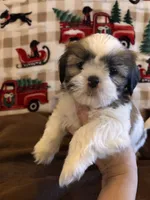 processed/47ae5528-42e7-4543-9def-0827168b32e6/listing/ceada5dc-80a8-41be-8ea9-66edc8dd3da9/3b6bc250-1c47-465c-8473-568eac611367