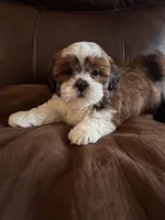 processed/47ae5528-42e7-4543-9def-0827168b32e6/listing/e90a8711-4de9-4bfa-8a8b-3e0b510715cb/02531ce5-1039-4995-b5de-1adc773fba51