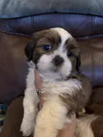 processed/47ae5528-42e7-4543-9def-0827168b32e6/listing/e90a8711-4de9-4bfa-8a8b-3e0b510715cb/2583ef2a-6884-44dd-b9fa-681919238b27