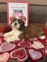 processed/47ae5528-42e7-4543-9def-0827168b32e6/listing/e90a8711-4de9-4bfa-8a8b-3e0b510715cb/5390f50b-f9a5-487f-8596-ecadec9a43b0