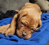 processed/47aff06c-b9b2-484d-8f7e-e6a220f2c61f/facility/03c6fca0-fc3b-40be-9577-6208d887aa07