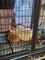 processed/47aff06c-b9b2-484d-8f7e-e6a220f2c61f/facility/3d13bcc6-2fb1-4140-aede-66a2c067d4b6