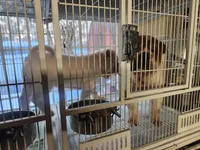 processed/47aff06c-b9b2-484d-8f7e-e6a220f2c61f/facility/921094a3-7c18-4d6d-bc92-2189721097c2