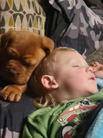 processed/47aff06c-b9b2-484d-8f7e-e6a220f2c61f/facility/e2424297-d008-49c5-9331-0e9d737e6e43