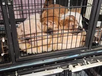 processed/47aff06c-b9b2-484d-8f7e-e6a220f2c61f/facility/fb9315f1-26d1-4841-84da-8cbe0124a55b