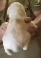 processed/47aff06c-b9b2-484d-8f7e-e6a220f2c61f/listing/69d26425-d7f8-4177-a4f1-93d2caa1d46c/7847e7d0-dec0-4f40-86a3-19741b7b50fd