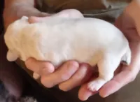 processed/47aff06c-b9b2-484d-8f7e-e6a220f2c61f/listing/69d26425-d7f8-4177-a4f1-93d2caa1d46c/a2604fa2-a724-4566-bc43-64e417bebf8b