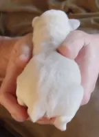 processed/47aff06c-b9b2-484d-8f7e-e6a220f2c61f/listing/69d26425-d7f8-4177-a4f1-93d2caa1d46c/b2d4b0bf-b4f0-4bb6-ba5d-3b9a41b0e136