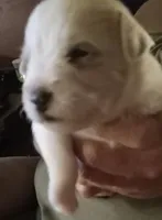 processed/47aff06c-b9b2-484d-8f7e-e6a220f2c61f/listing/69d26425-d7f8-4177-a4f1-93d2caa1d46c/dd1fcba1-a957-43fc-8347-1547c6a0bc00