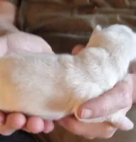 processed/47aff06c-b9b2-484d-8f7e-e6a220f2c61f/listing/69d26425-d7f8-4177-a4f1-93d2caa1d46c/fe8cc60d-2499-4829-8958-8c13b00bb67e