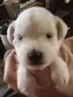 processed/47aff06c-b9b2-484d-8f7e-e6a220f2c61f/listing/ee1940b4-e358-4460-ae6e-bfd8ed5ad63a/0c399bd1-a90a-458a-9640-0274eb44222a