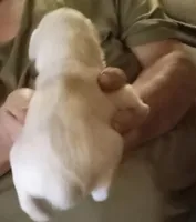 processed/47aff06c-b9b2-484d-8f7e-e6a220f2c61f/listing/ee1940b4-e358-4460-ae6e-bfd8ed5ad63a/79b6d3b4-d321-4c61-8731-991de9263b45