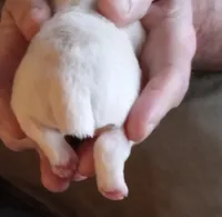 processed/47aff06c-b9b2-484d-8f7e-e6a220f2c61f/listing/ee1940b4-e358-4460-ae6e-bfd8ed5ad63a/a14c1336-a389-4c80-bd9a-466f1532c281