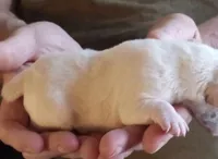 processed/47aff06c-b9b2-484d-8f7e-e6a220f2c61f/listing/ee1940b4-e358-4460-ae6e-bfd8ed5ad63a/c284a55c-6b5c-4aa2-894d-f2eebc06f16a