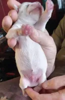 processed/47aff06c-b9b2-484d-8f7e-e6a220f2c61f/listing/ee1940b4-e358-4460-ae6e-bfd8ed5ad63a/e6ba6e4c-6ff5-4daf-a833-ce02636fd2ea