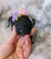 processed/47b2b5a9-ec87-4a0d-9bc3-c22c113f7bef/listing/01571614-eb14-4cd1-ac17-058afeba9fb6/146d4869-a647-437a-8977-1b3237ef9b7b