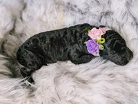 processed/47b2b5a9-ec87-4a0d-9bc3-c22c113f7bef/listing/01571614-eb14-4cd1-ac17-058afeba9fb6/6ebdad3c-77bf-4dca-be1b-a045f1ebc2f4