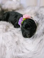 processed/47b2b5a9-ec87-4a0d-9bc3-c22c113f7bef/listing/01571614-eb14-4cd1-ac17-058afeba9fb6/968f719c-ca27-4179-a548-645dc8c06978