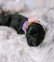 processed/47b2b5a9-ec87-4a0d-9bc3-c22c113f7bef/listing/01571614-eb14-4cd1-ac17-058afeba9fb6/da095d1f-12ab-4507-8c4d-cc3bbcd13759