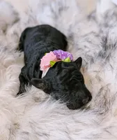 processed/47b2b5a9-ec87-4a0d-9bc3-c22c113f7bef/listing/19df55d2-0ea8-4cbe-90ef-b7ec693c5432/7de66a1a-f40f-4070-ad52-58bfae5aed23