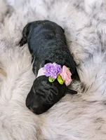 processed/47b2b5a9-ec87-4a0d-9bc3-c22c113f7bef/listing/19df55d2-0ea8-4cbe-90ef-b7ec693c5432/b0d05e71-711b-4e9e-80e8-5f4f128ac84b