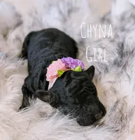 processed/47b2b5a9-ec87-4a0d-9bc3-c22c113f7bef/listing/19df55d2-0ea8-4cbe-90ef-b7ec693c5432/bce4ffe6-d4fb-422d-8ab1-f77d702a812f