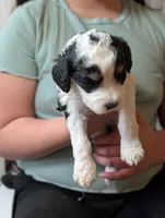 processed/47b2b5a9-ec87-4a0d-9bc3-c22c113f7bef/listing/2f9fcf1b-1549-4b5f-81e0-fc384c5941da/691beb3d-d27b-4e65-872c-a06f4fc11468