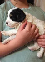 processed/47b2b5a9-ec87-4a0d-9bc3-c22c113f7bef/listing/2f9fcf1b-1549-4b5f-81e0-fc384c5941da/8d083681-c7c3-48bf-a0d3-80efebc5b5dc