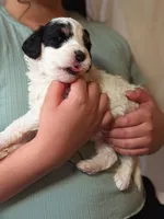 processed/47b2b5a9-ec87-4a0d-9bc3-c22c113f7bef/listing/2f9fcf1b-1549-4b5f-81e0-fc384c5941da/b10c571c-f2d5-40a0-8bee-72805323f20f