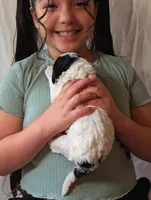 processed/47b2b5a9-ec87-4a0d-9bc3-c22c113f7bef/listing/2f9fcf1b-1549-4b5f-81e0-fc384c5941da/b1912cd6-01dc-443f-998b-e3d16b013cf1