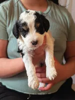 processed/47b2b5a9-ec87-4a0d-9bc3-c22c113f7bef/listing/2f9fcf1b-1549-4b5f-81e0-fc384c5941da/d2384cdb-ba06-47fd-af5f-002e80665b42