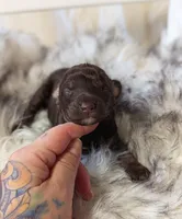 processed/47b2b5a9-ec87-4a0d-9bc3-c22c113f7bef/listing/39a06c61-ecb3-4c23-a488-aa2fc922f579/01dc6d05-9644-4073-9a2f-8fe440f04b7c