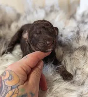 processed/47b2b5a9-ec87-4a0d-9bc3-c22c113f7bef/listing/39a06c61-ecb3-4c23-a488-aa2fc922f579/92571816-643e-4aa7-beaa-3304e833f47a