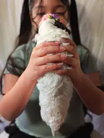 processed/47b2b5a9-ec87-4a0d-9bc3-c22c113f7bef/listing/4ffe72b7-b9a9-4033-b49c-58508e697851/570cb06c-9952-498a-99c1-77a7bd432419