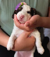 processed/47b2b5a9-ec87-4a0d-9bc3-c22c113f7bef/listing/4ffe72b7-b9a9-4033-b49c-58508e697851/6240a622-508c-4536-ae18-e1f87debd175