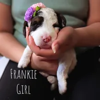 processed/47b2b5a9-ec87-4a0d-9bc3-c22c113f7bef/listing/4ffe72b7-b9a9-4033-b49c-58508e697851/d00b5bbd-e0e9-47fb-a775-365eb93d0df4