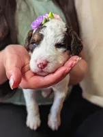 processed/47b2b5a9-ec87-4a0d-9bc3-c22c113f7bef/listing/4ffe72b7-b9a9-4033-b49c-58508e697851/e8494512-4b73-4ab1-b516-e585ecf9cb76