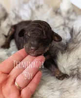 processed/47b2b5a9-ec87-4a0d-9bc3-c22c113f7bef/listing/54e3ce54-f373-41f9-9218-252ad39a432e/4ff1d087-ef36-45f7-94d2-f53d445e88e9