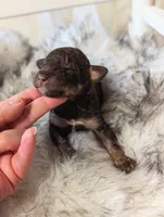 processed/47b2b5a9-ec87-4a0d-9bc3-c22c113f7bef/listing/54e3ce54-f373-41f9-9218-252ad39a432e/6634b6c8-cda6-4fea-94d6-f6733403cff5