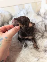 processed/47b2b5a9-ec87-4a0d-9bc3-c22c113f7bef/listing/54e3ce54-f373-41f9-9218-252ad39a432e/e94e2271-9955-4c63-a3d8-9ce2aae490ce