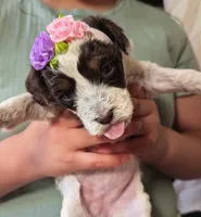 processed/47b2b5a9-ec87-4a0d-9bc3-c22c113f7bef/listing/8617825f-d124-44fc-b27f-f1c75904da54/4ba8b93e-eea5-442d-8df0-7d3e7ba1c876