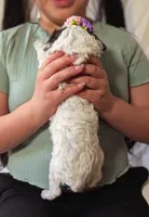 processed/47b2b5a9-ec87-4a0d-9bc3-c22c113f7bef/listing/8617825f-d124-44fc-b27f-f1c75904da54/552c171a-3919-4d55-bad8-fb521a323600