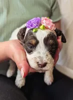 processed/47b2b5a9-ec87-4a0d-9bc3-c22c113f7bef/listing/8617825f-d124-44fc-b27f-f1c75904da54/60690881-b714-4d55-9a24-09e10fdb20c3